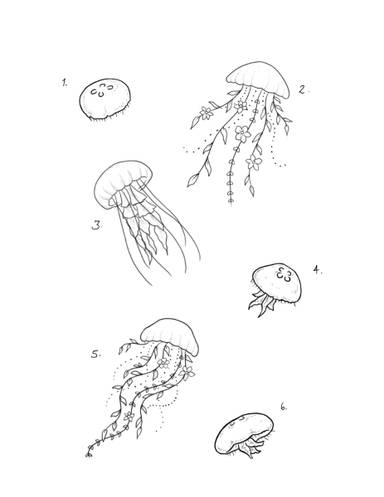Jellyfish