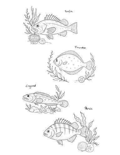 Marine Fishies