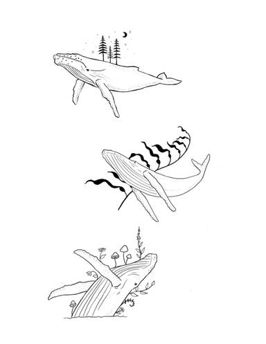 Humpbacks Pt 2