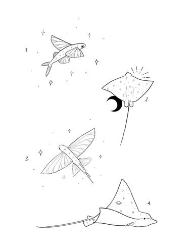 Flyers