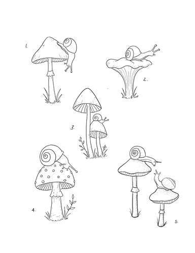 Mushrooms & Snails