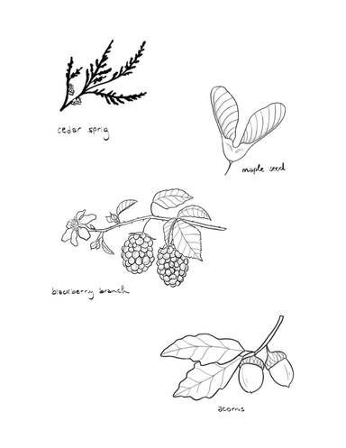 Forest Finds