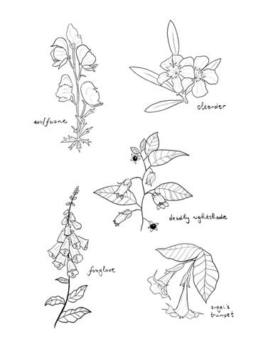 Poisonous Plants