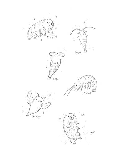 Microfauna Magic
