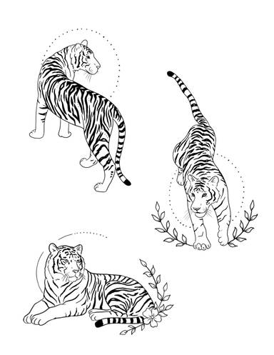Tigers